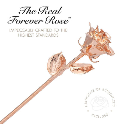 Forever Rose Real Rose Gold Rose, Genuine One of a Kind Rose Hand Dipped in 2...