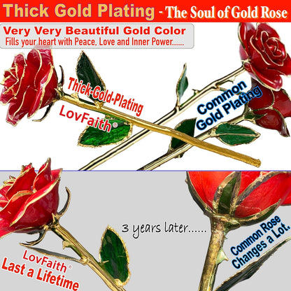 Valentines Day Real Rose Dipped 24K Gold with Crystal Stand, Best Original Rose Gift for Her Wife Anniversary Birthday